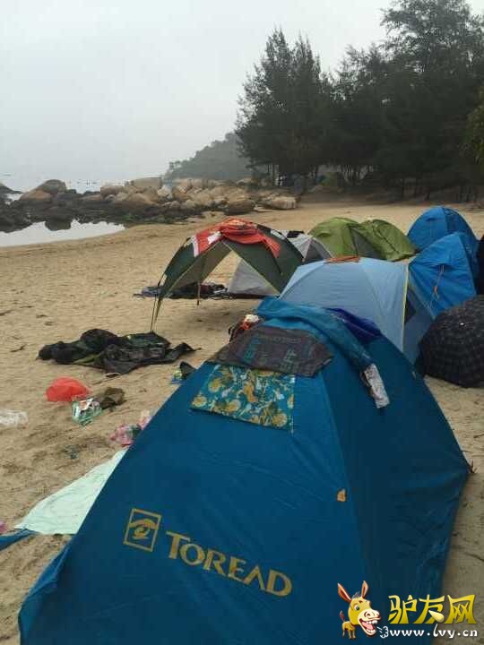 QQ图片20160426145751.jpg